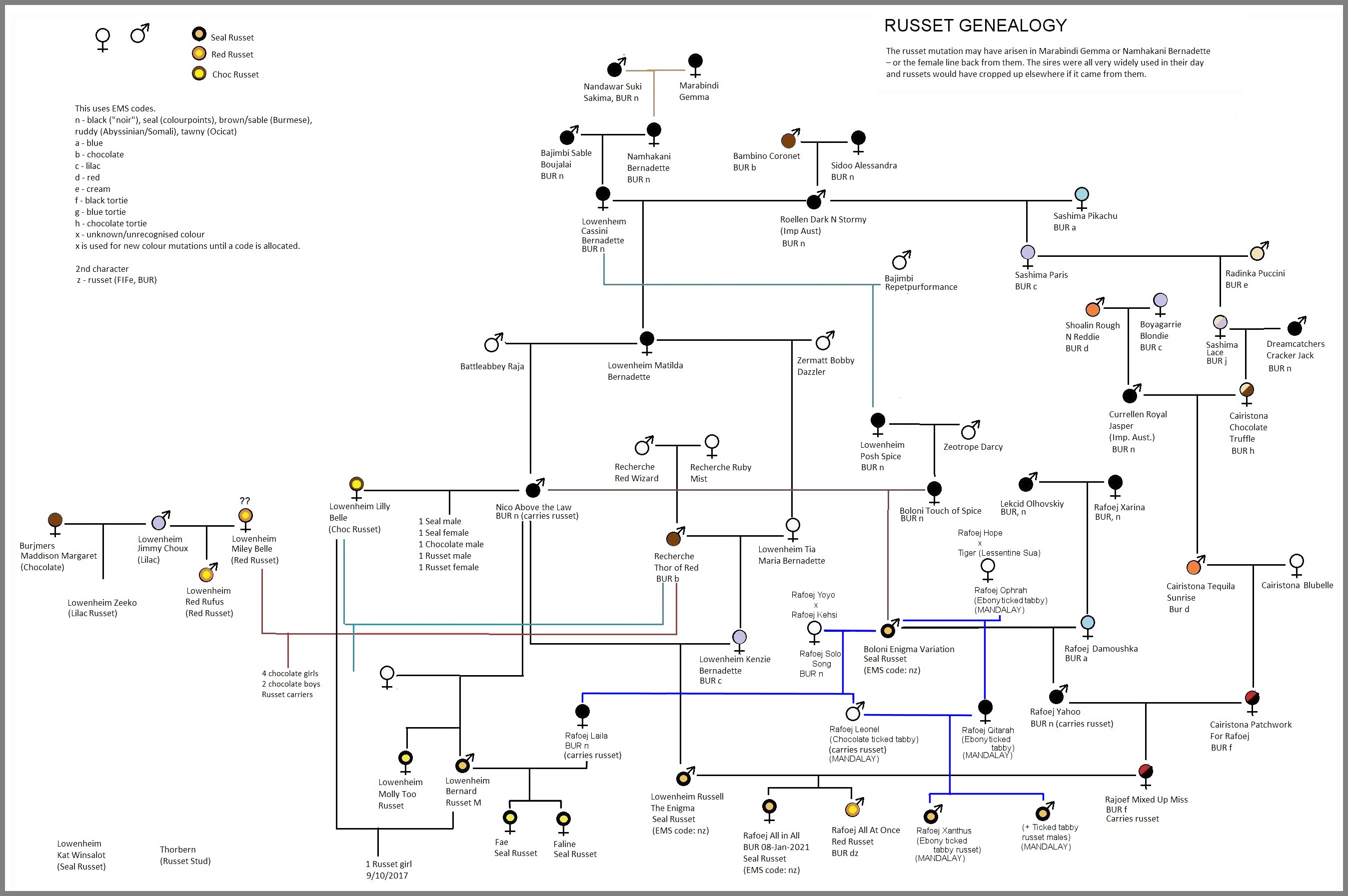 russet-genealogy