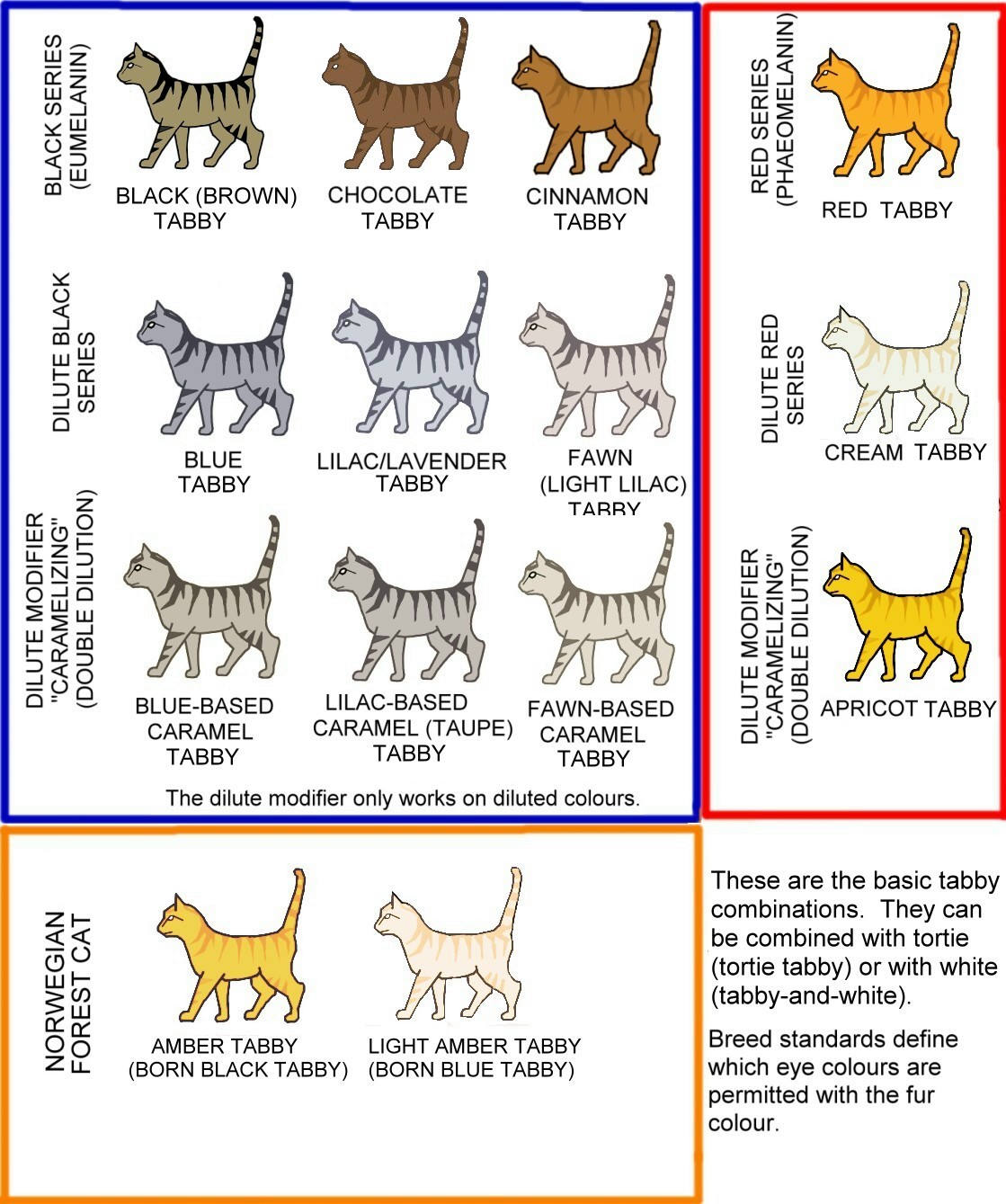 cat colours diagram chart